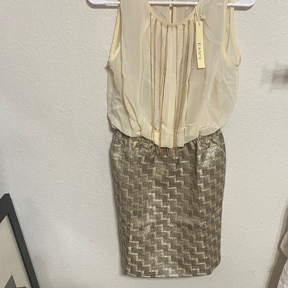 Esley Cream and Gold Dress NWT